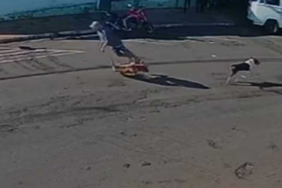 Idoso  atropelado  por cachorro que corria na rua ficou tetraplégico, diz hospital