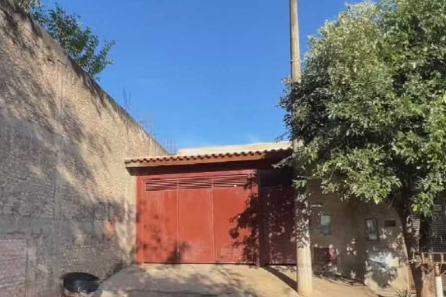 Moradora diz que ouviu passos antes de flagrar vaca em cima do telhado no interior de SP: ´Achava que não era possível´