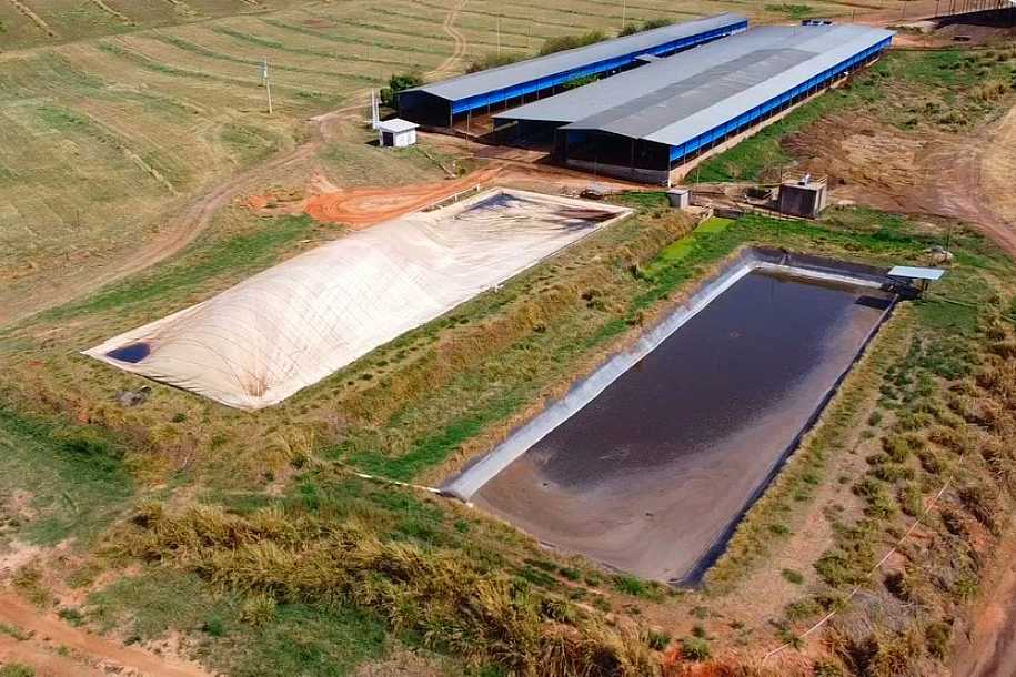 Produtores investem em biodigestor para reduzir conta de energia