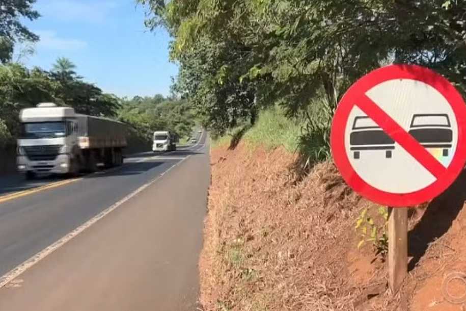 Número de animais atropelados em rodovias do noroeste paulista cresce 20% no fim do ano