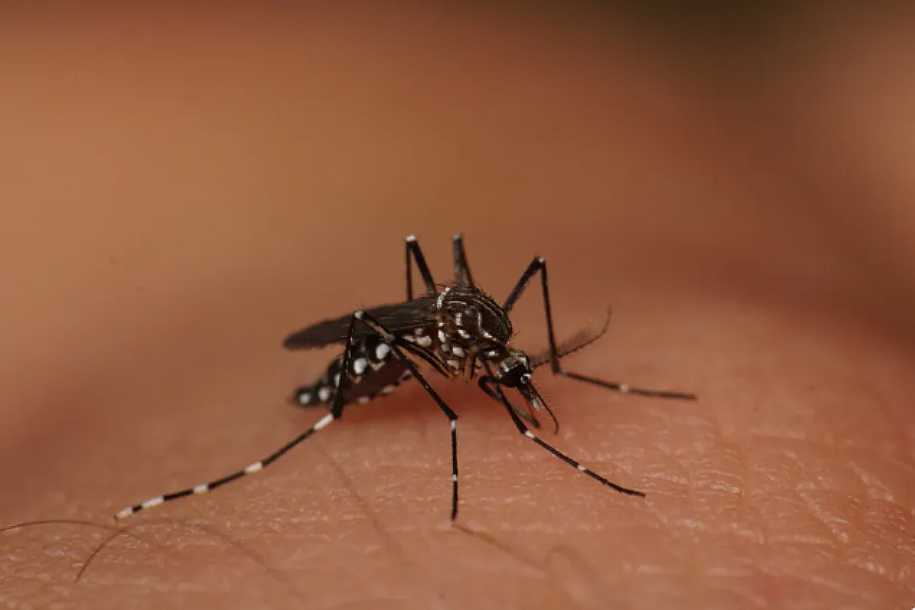 Irapuã registra primeira morte por dengue em 2024, diz prefeitura