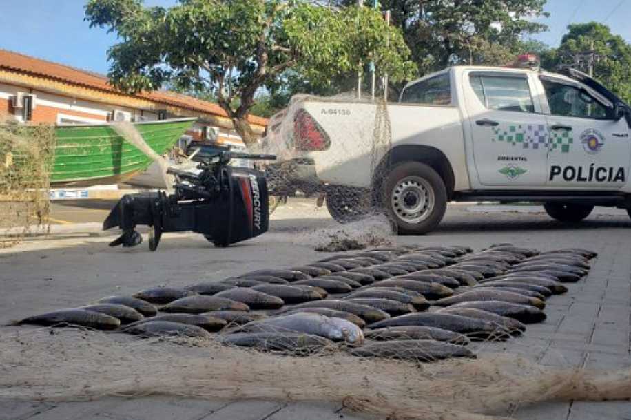 Polícia Ambiental apreende quase 100 kg de peixes nativos e petrechos usados em pesca predatória