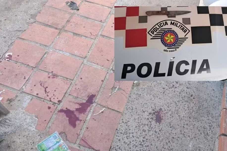 Tutor de cão castrado com faca de cozinha em Buritama nega ter pedido para que casal fizesse o serviço; suspeitos foram soltos