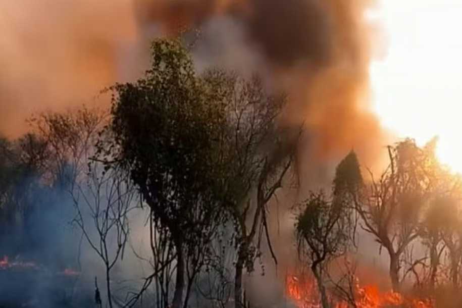 Queimada consome vegetação nativa na Reserva do Aguapeí e mobiliza aviões para combater chamas em Castilho