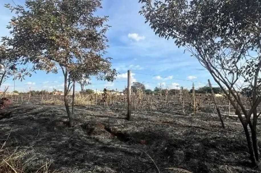 Queimadas recorrentes em Jales agravam qualidade do ar e impactam saúde dos moradores