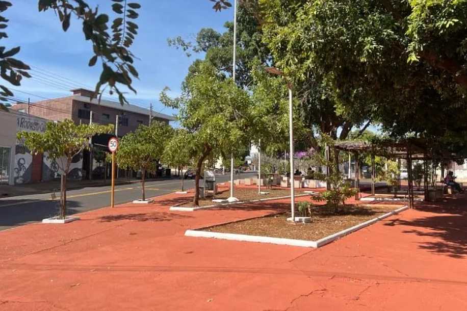 Nova Feira Livre do Jardim Arapuã estreia com música e variedade de produtos neste domingo (25)