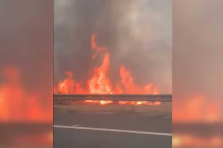 Incêndio mobiliza bombeiros às margens da BR-153 no interior de SP