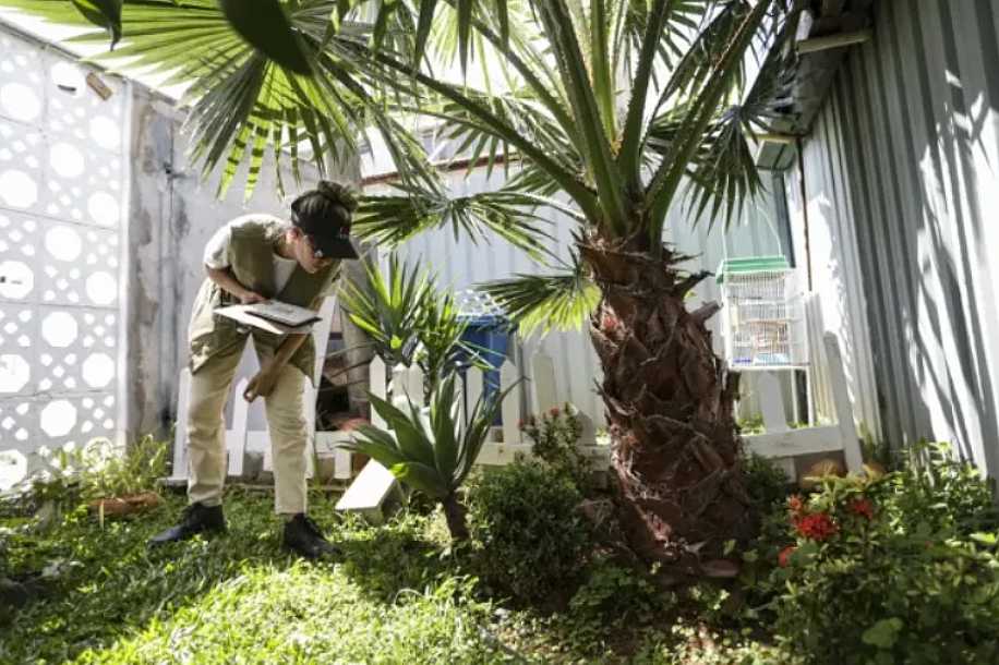 Prevenção de dengue deve ir além de mensagens sobre hábitos e cuidados