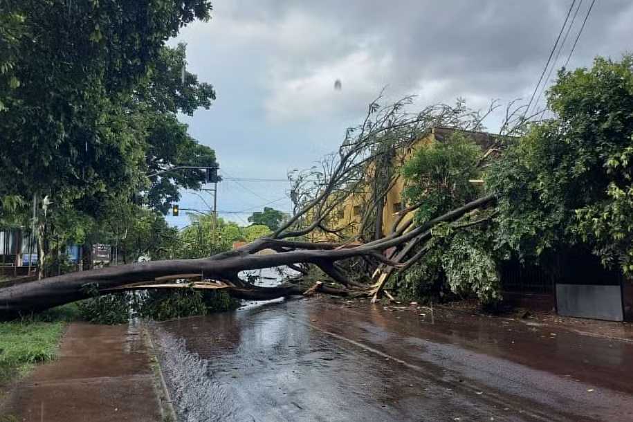 Com 121mm, Bauru registra o maior volume de chuva do estado de SP; veja lista com maiores acumulados