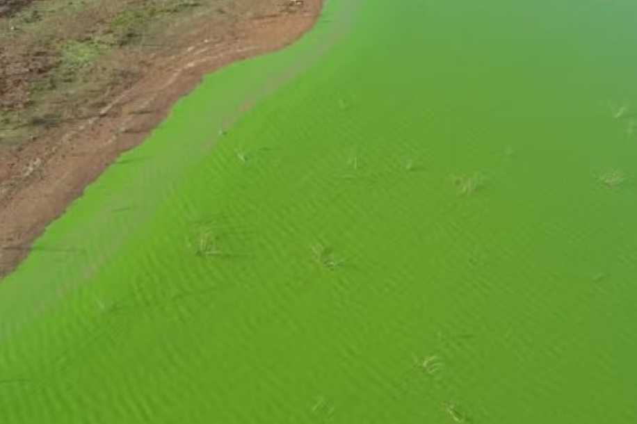 Água verde e mau cheiro no Rio Grande preocupam moradores de Guaraci