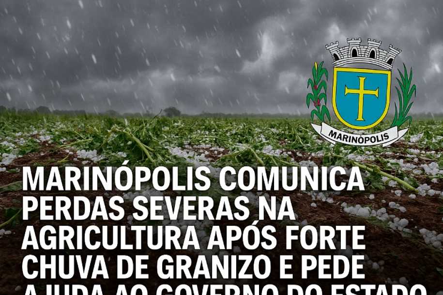 Marinópolis comunica perdas severas na agricultura após forte chuva de granizo e pede ajuda ao Governo do Estado