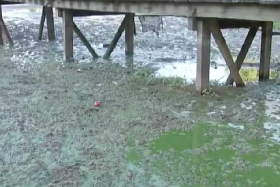 Rio Tietê volta a ter água com cor verde e cheiro forte em Glicério