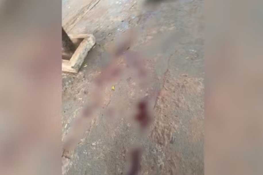Pitbull escapa e mata vira-lata de pequeno porte em Rio Preto