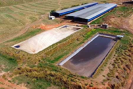 Produtores investem em biodigestor para reduzir conta de energia