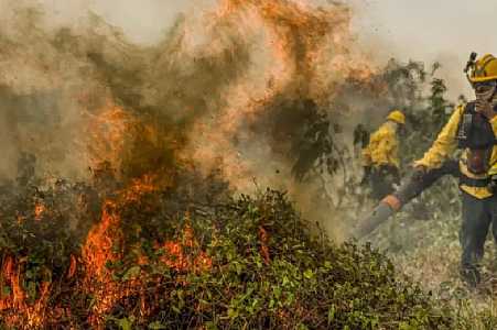 Fogo já consumiu 1,3 milhão de hectares e volta a aumentar no Pantanal