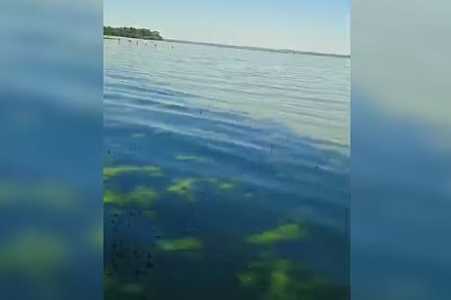 Moradores registram Rio Tietê com coloração verde no interior de SP; vídeo