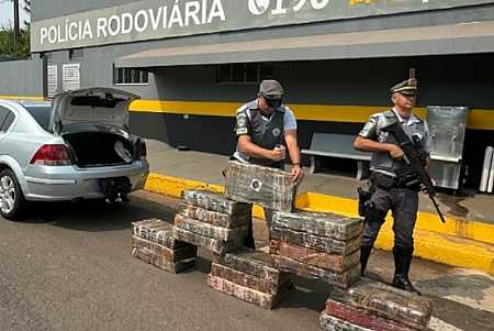 Polícia Rodoviária prende homem com mais de 300 quilos de maconha, em Pirapozinho (SP)
