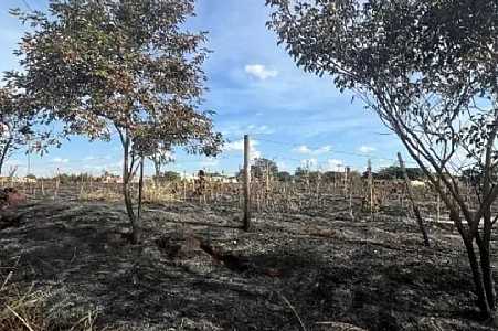 Queimadas recorrentes em Jales agravam qualidade do ar e impactam saúde dos moradores
