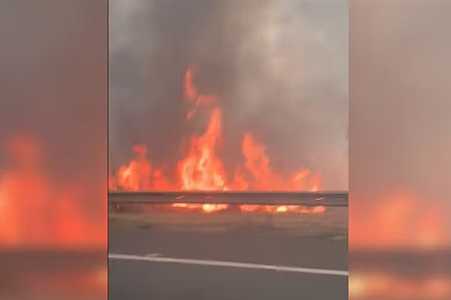 Incêndio mobiliza bombeiros às margens da BR-153 no interior de SP
