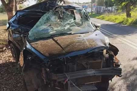 Carro bate em coqueiro e duas pessoas morrem em Cardoso
