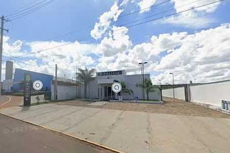 Homem é preso suspeito de cortar perna de cachorro com faca de cozinha no interior de SP