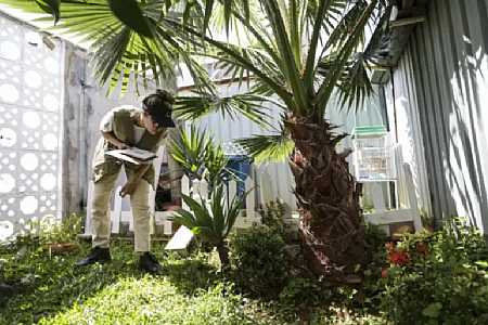 Prevenção de dengue deve ir além de mensagens sobre hábitos e cuidados