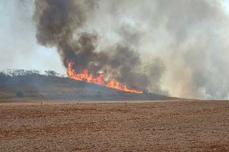 Governo de SP lança pacote de ações para produtores rurais afetados por incêndios