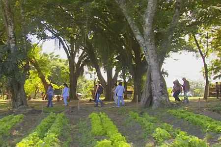 Região de Itapetininga promove contato com a natureza através do turismo rural