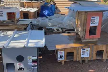 Caminhoneiro transforma terreno em oficina e constrói mais de 1,7 mil casinhas para proteger do frio cães e gatos abandonados